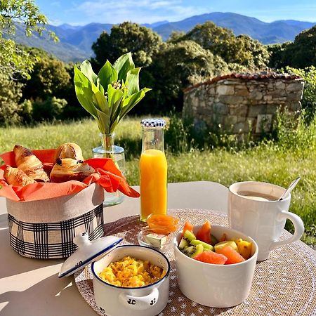 Tradition Corse Et Modernite A Cantina Granace Zewnętrze zdjęcie