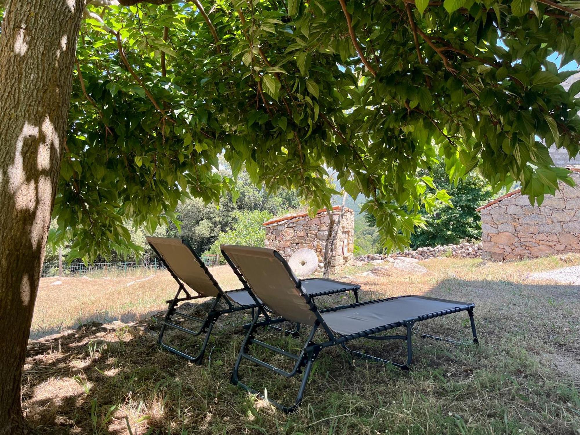Tradition Corse Et Modernite A Cantina Granace Zewnętrze zdjęcie